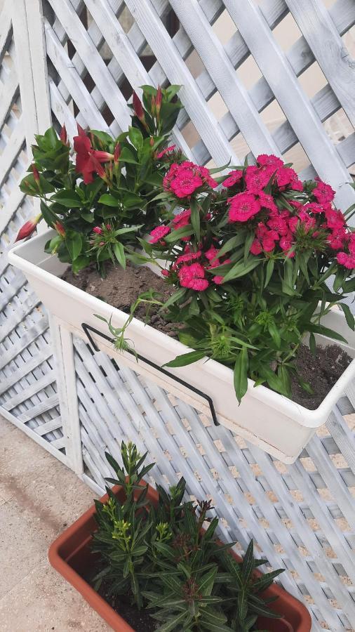 Casacecilia verde relax Syrakuzy Zewnętrze zdjęcie