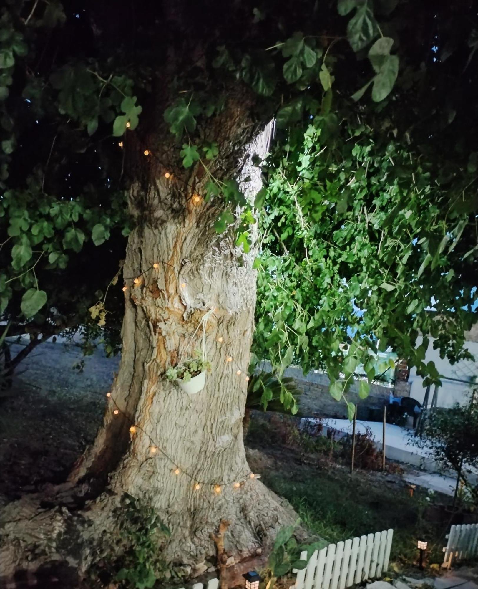 Casacecilia verde relax Syrakuzy Pokój zdjęcie