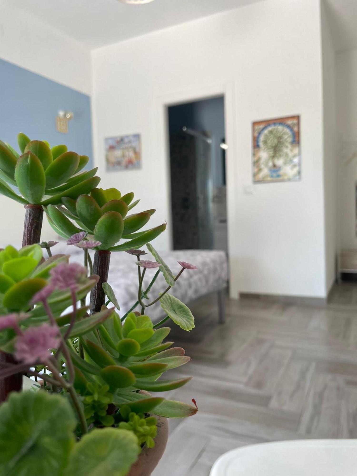 Casacecilia verde relax Syrakuzy Zewnętrze zdjęcie